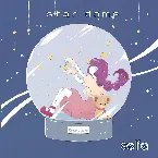Pochette star dome