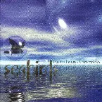 Pochette Seabirds