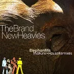 Pochette Elephantitis: The Funk+House Remixes