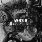 Pochette Hit Then Run (Chee’s Stressplate Flipout)