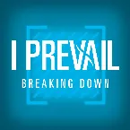 Pochette Breaking Down