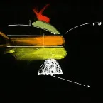 Pochette Moten/López/Cleaver