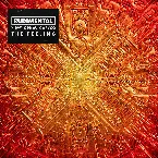 Pochette The Feeling