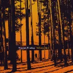 Pochette Yellowjacket