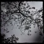 Pochette Treasure of Stars (Streams of Consciousness)