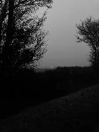 Pochette Nocturnes