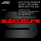 Pochette Bring Back the Sun