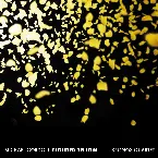 Pochette Clouded Yellow