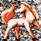 Pochette #078 ~ Rapidash