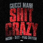 Pochette Shit Crazy (remix)