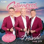 Pochette Freunde wie wir