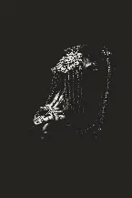 Pochette Languorous Warhorse
