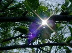 Pochette Show Me the Glint of Light