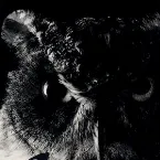 Pochette 真夜中のヒーロー