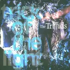 Pochette Trick of the Light