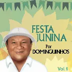 Pochette Festa Junina por Dominguinhos, Vol. 1