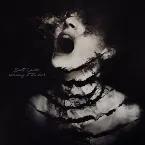 Pochette Screaming at the Dark