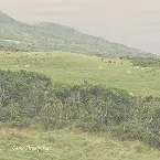 Pochette Canto Arquipélago