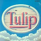 Pochette TULIP LAND