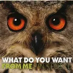Pochette What Do You Want From Me
