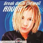Pochette Break Down the Wall