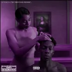 Pochette EVERYTHING IS LOVE (ChopNotSlop remix)