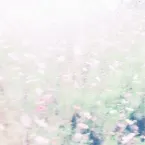 Pochette The Fall Rises