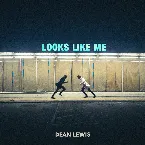 Pochette Looks Like Me