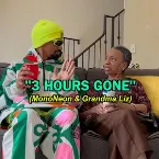 Pochette 3 Hours Gone