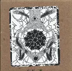 Pochette Volume One • Loose Bugs