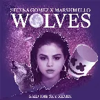 Pochette Wolves (Said the Sky remix)