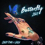 Pochette Butterfly 2021