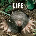 Pochette LIFE