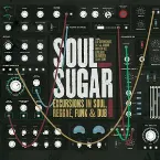 Pochette Excursions in Soul Reggae Funk & Dub