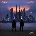 Pochette Cry (remixes)