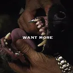 Pochette Want More