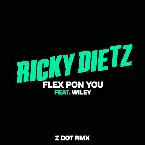 Pochette Flex Pon You (Zdot RMX)