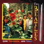 Pochette Gone Tomorrow Here Today