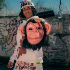 Pochette Am I Wrong?