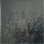 Pochette The Night Slept on My Arm