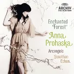 Pochette Enchanted Forest