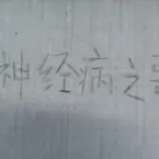 Pochette 神经病之歌