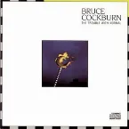 Pochette The Trouble With Normal