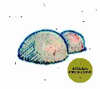 Pochette French Accent