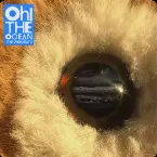 Pochette Oh! The Ocean