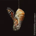Pochette All Your Love