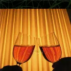 Pochette Liar-soft Vocal Collection [SALUTE!]