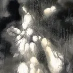 Pochette Drone of Life