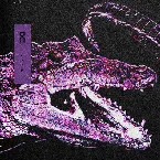 Pochette Moxie Boost / Beton Brute