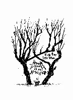 Pochette La magia raccontata da una macchina